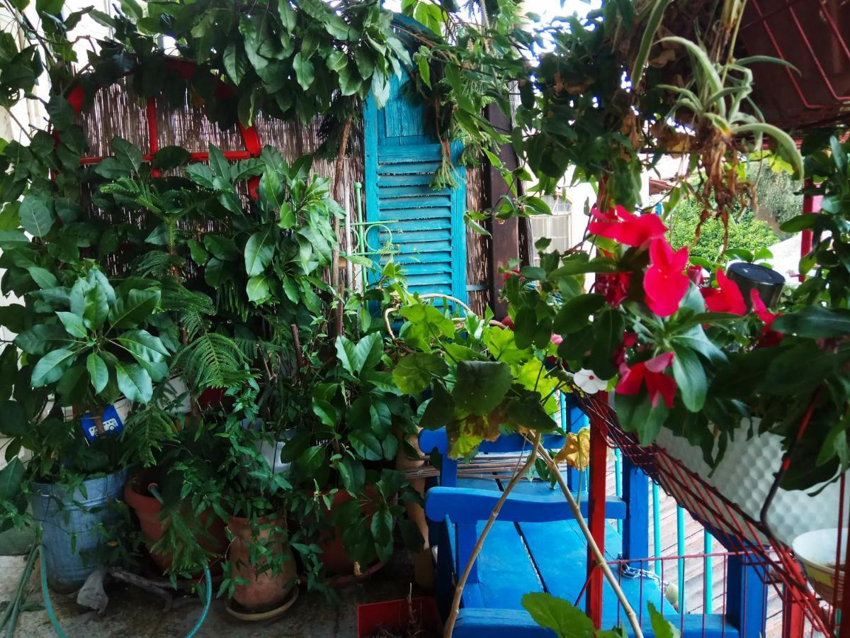 Diana'S B&B Ιερουσαλήμ Εξωτερικό φωτογραφία