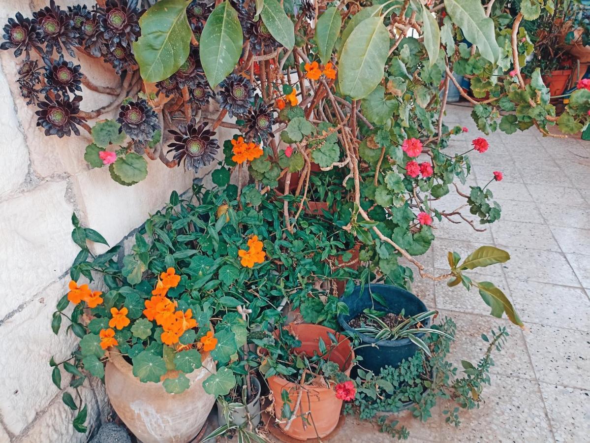 Diana'S B&B Ιερουσαλήμ Εξωτερικό φωτογραφία