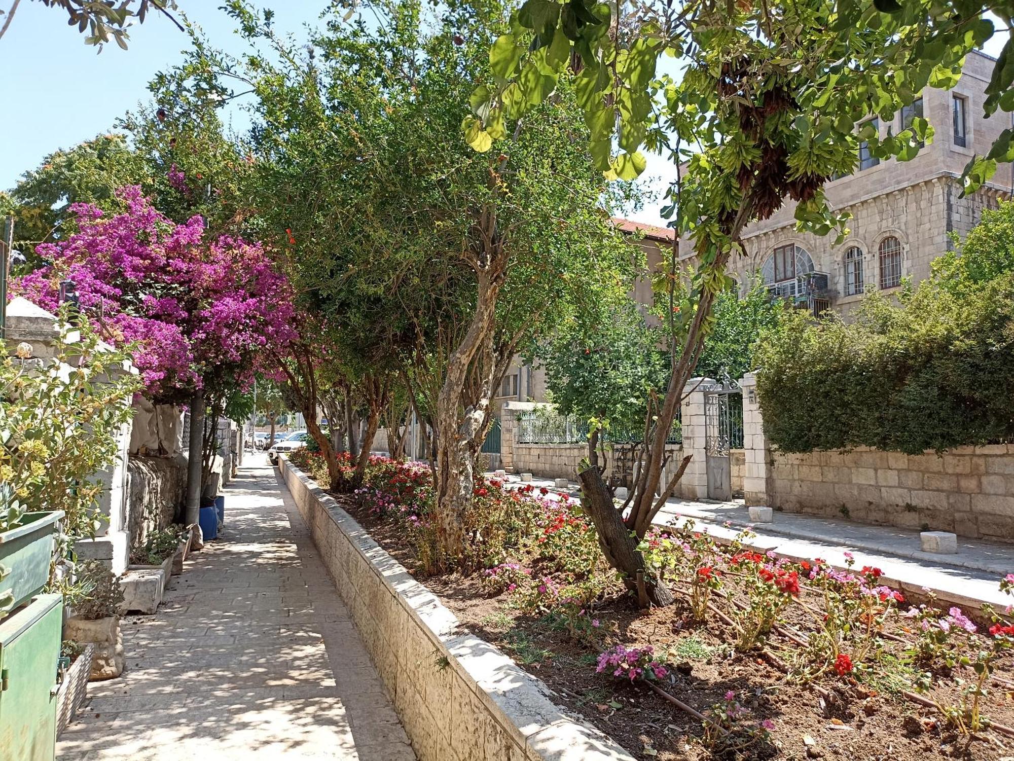 Diana'S B&B Ιερουσαλήμ Εξωτερικό φωτογραφία